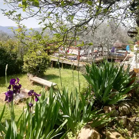 Casa Quercioli Villa *